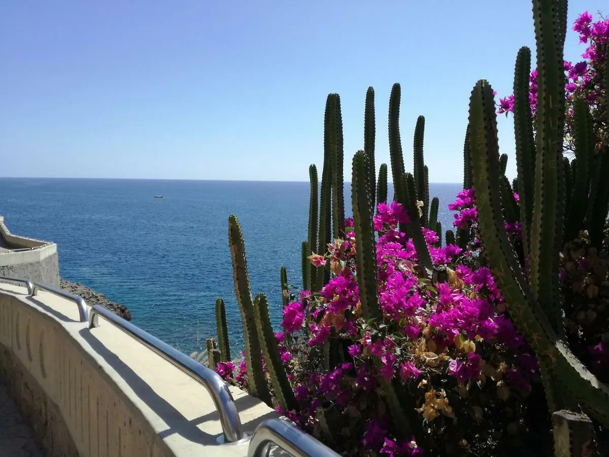 Lovely 2 Bedroom House With Private Garden Mogán